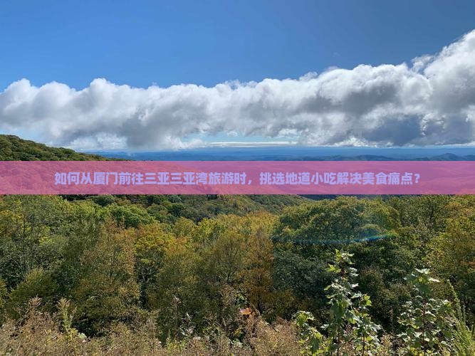 厦门前往三亚三亚湾旅游小吃 厦门前往三亚三亚湾旅游小吃