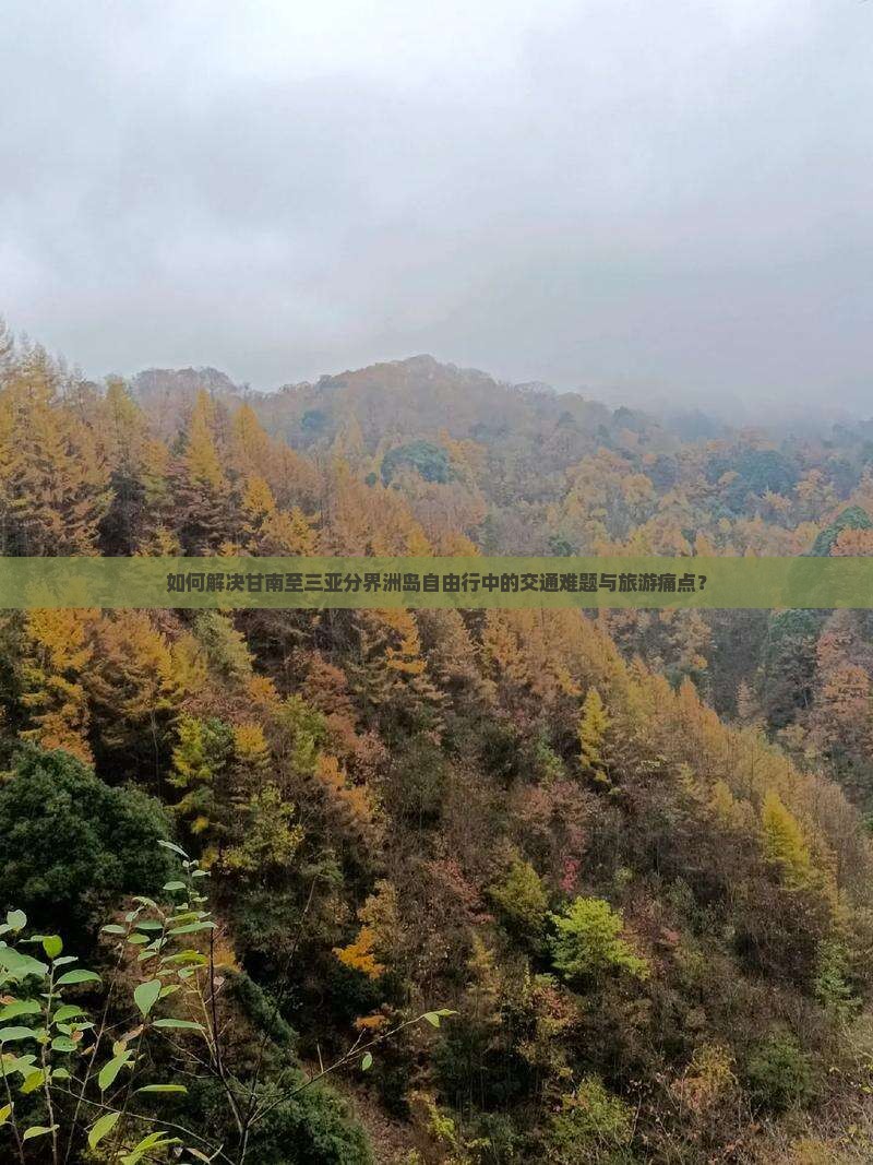 甘南去三亚分界洲岛自由行