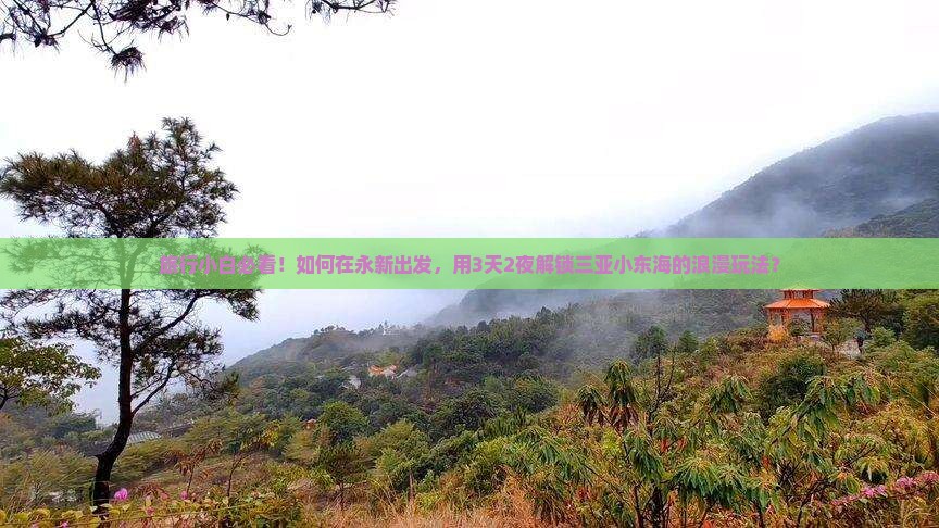 永新出发三亚小东海个人游