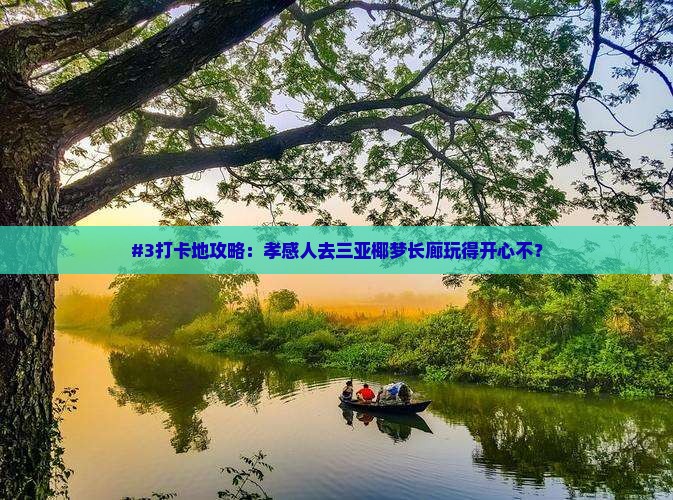 孝感前往三亚椰梦长廊旅游打卡点