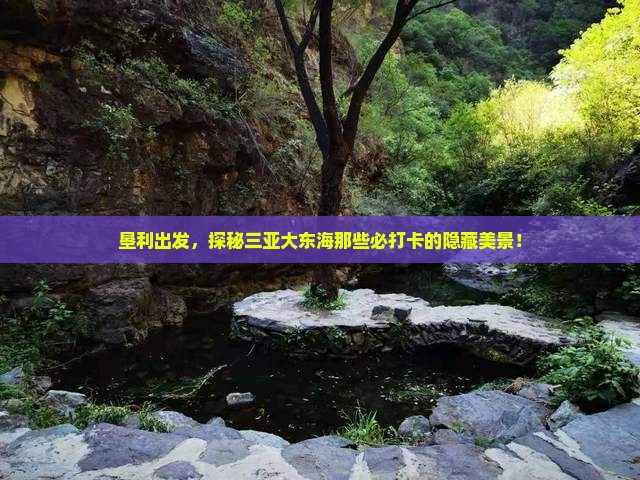 垦利去三亚大东海旅游打卡点