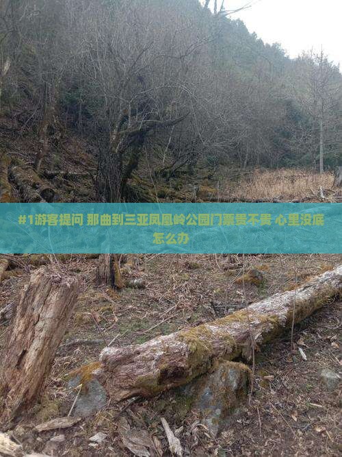 那曲去三亚凤凰岭公园门票