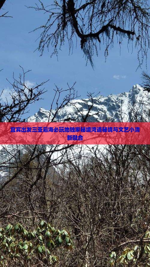 宜宾出发三亚后海必玩地