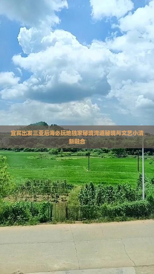 宜宾出发三亚后海必玩地