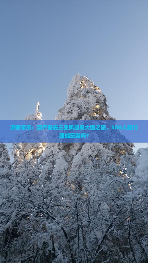 葫芦岛前往三亚凤凰岛大型旅游团