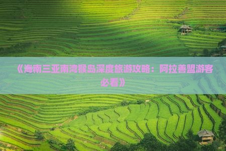 阿拉善盟前往三亚南湾猴岛攻略