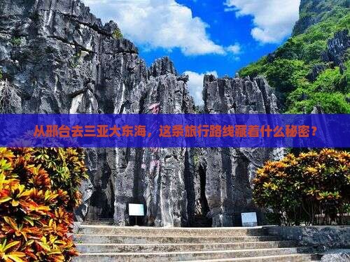 邢台前往三亚大东海旅行社