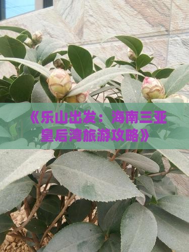 乐山前往三亚皇后湾自由行