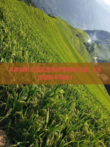 哈尔滨前往三亚亚龙湾热带森林公园五日游