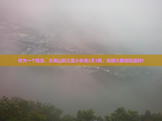 黄山前往三亚小东海二日游