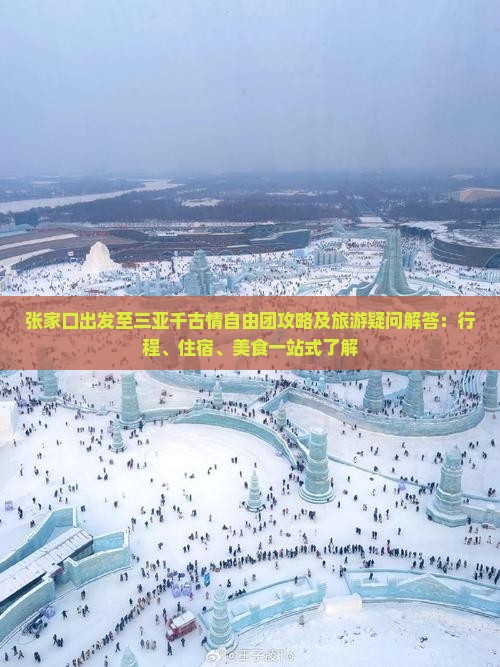张家口出发三亚千古情自由团
