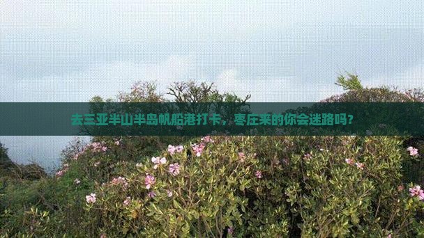 枣庄去三亚半山半岛帆船港旅游打卡点