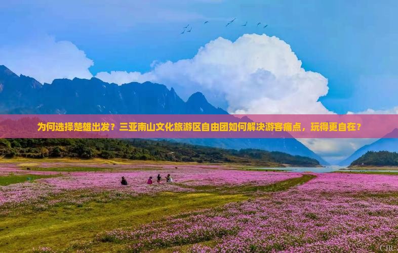 楚雄出发三亚南山文化旅游区自由团