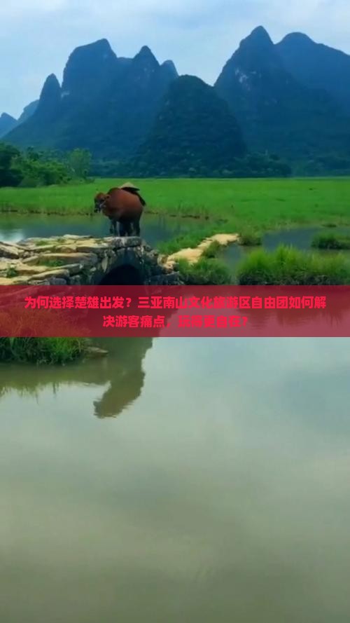 楚雄出发三亚南山文化旅游区自由团