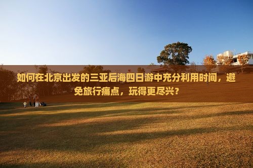 北京出发三亚后海四日游