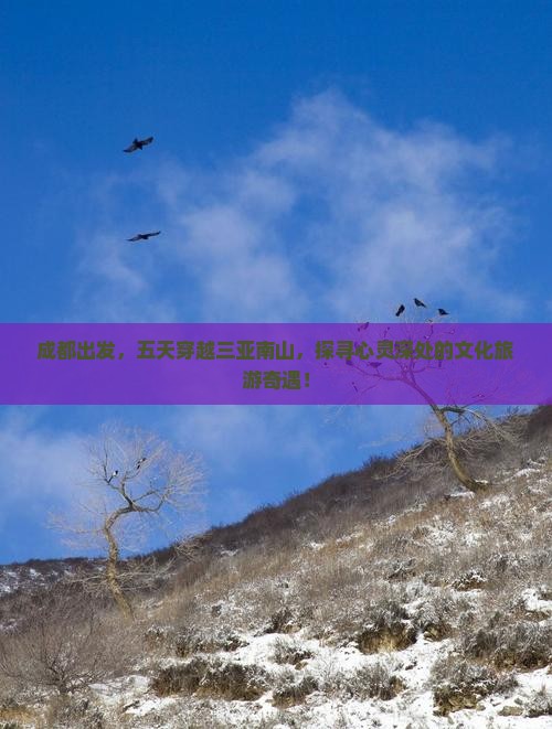 成都去三亚南山文化旅游区五日游
