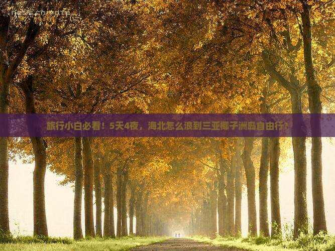 海北前往三亚椰子洲岛自由团