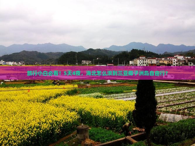 海北前往三亚椰子洲岛自由团