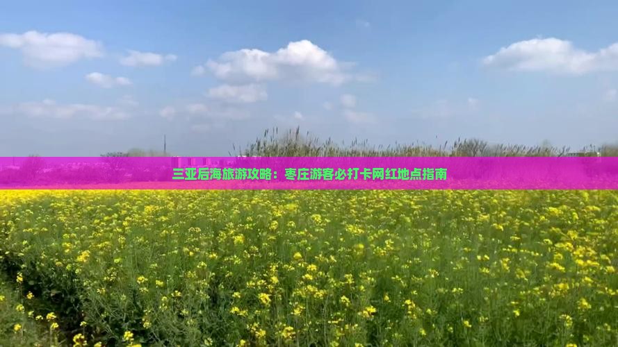 枣庄去三亚后海旅游网红地点