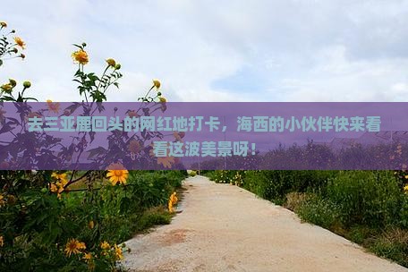 海西前往三亚鹿回头旅游网红地点
