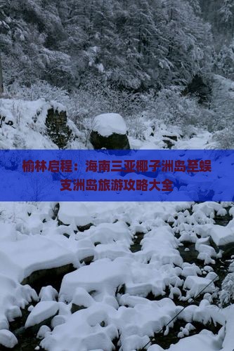 榆林出发三亚椰子洲岛旅行社