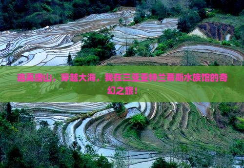 唐山出发三亚亚特兰蒂斯水族馆自由行