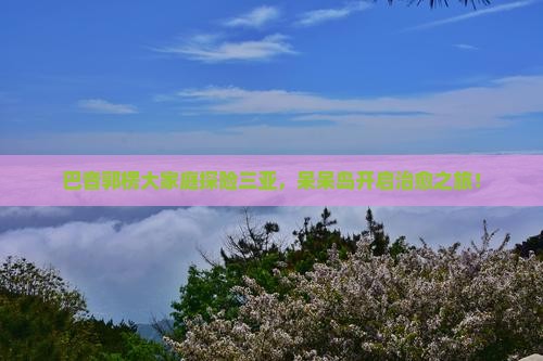 巴音郭楞去三亚呆呆岛大型旅游团