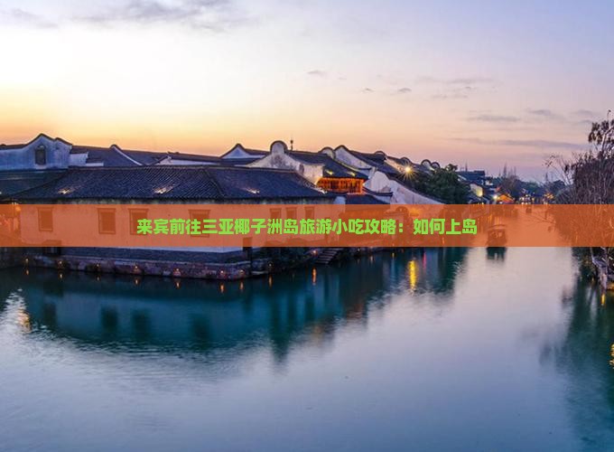 来宾前往三亚椰子洲岛旅游小吃