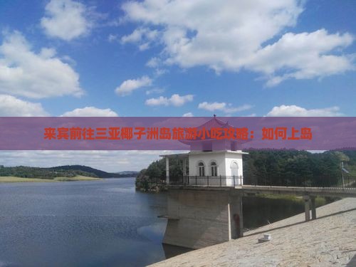 来宾前往三亚椰子洲岛旅游小吃