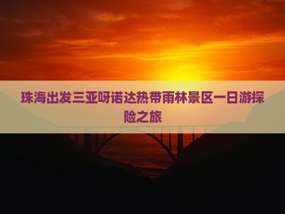 珠海去三亚呀诺达景区一日游