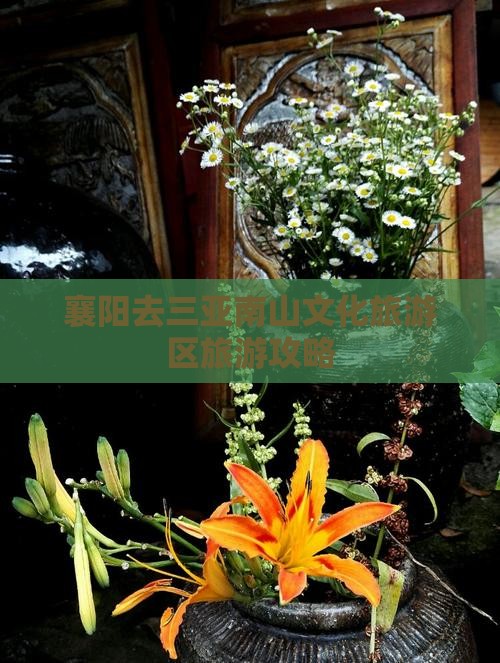 襄阳去三亚南山文化旅游区旅游