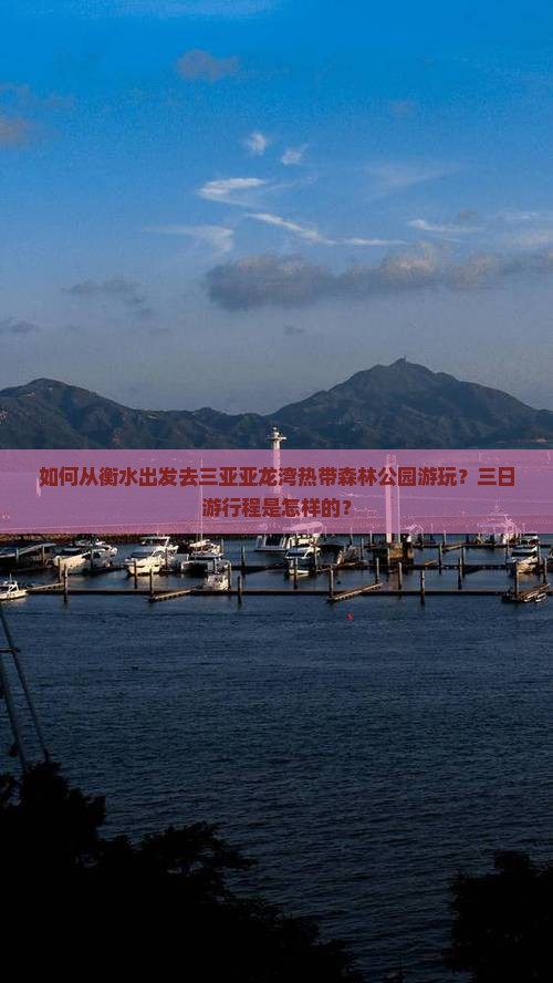 衡水去三亚亚龙湾热带森林公园三日游