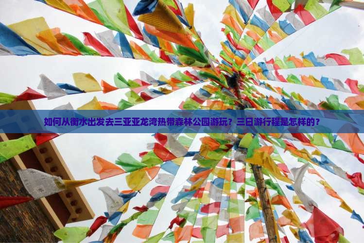 衡水去三亚亚龙湾热带森林公园三日游