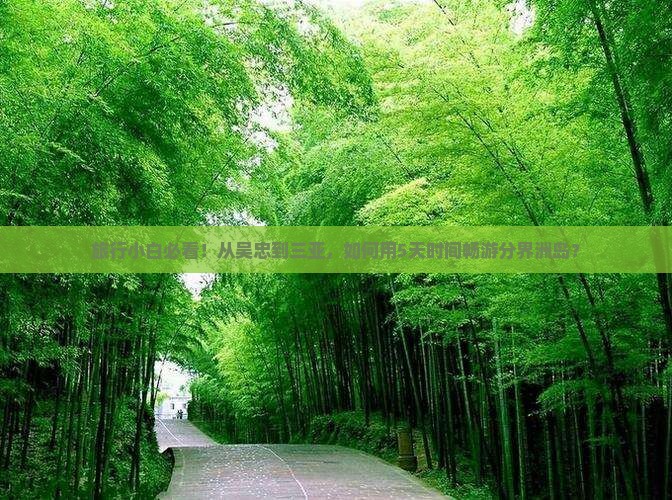 吴忠出发三亚分界洲岛旅游