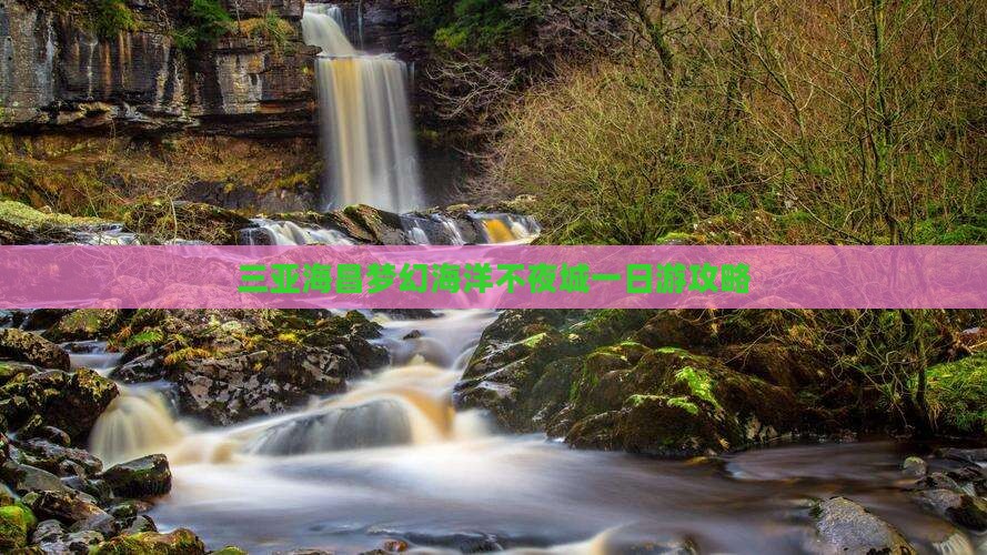 深圳前往三亚海昌梦幻海洋不夜城一日游