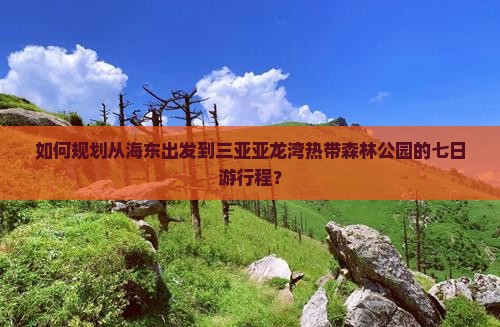 海东前往三亚亚龙湾热带森林公园七日游