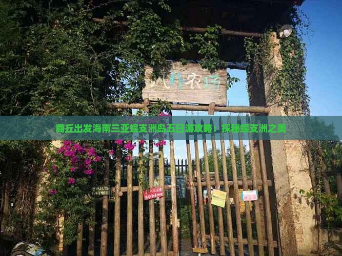 商丘去三亚蜈支洲岛五日游