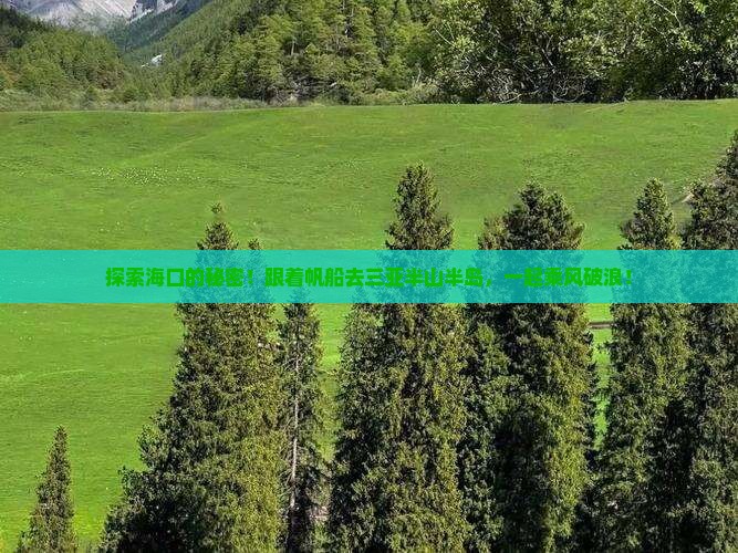 海口出发三亚半山半岛帆船港旅游