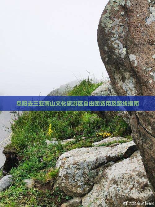 阜阳去三亚南山文化旅游区自由团
