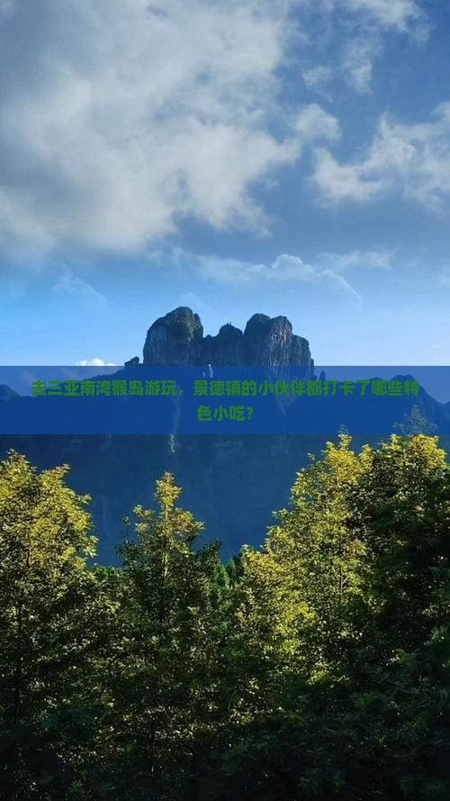 景德镇去三亚南湾猴岛旅游小吃