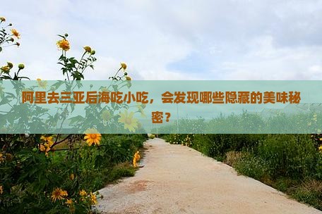 阿里前往三亚后海旅游小吃
