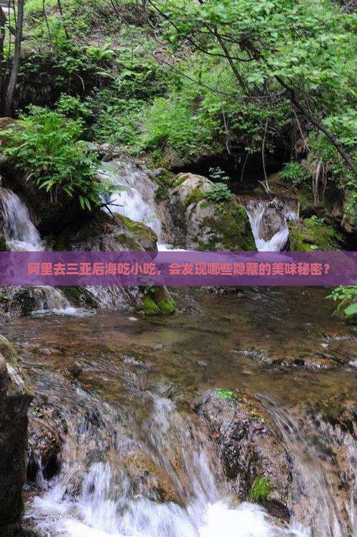 阿里前往三亚后海旅游小吃