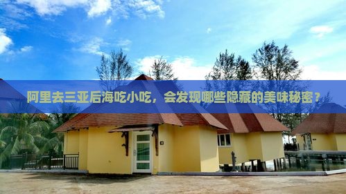 阿里前往三亚后海旅游小吃