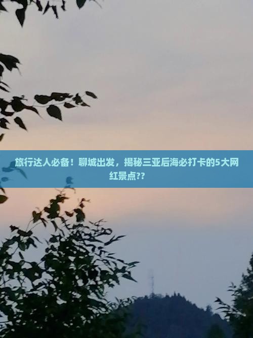 聊城去三亚后海旅游网红地点