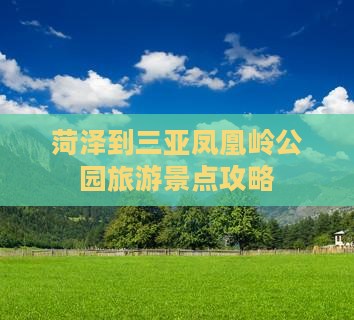 菏泽去三亚凤凰岭公园旅游网红地点