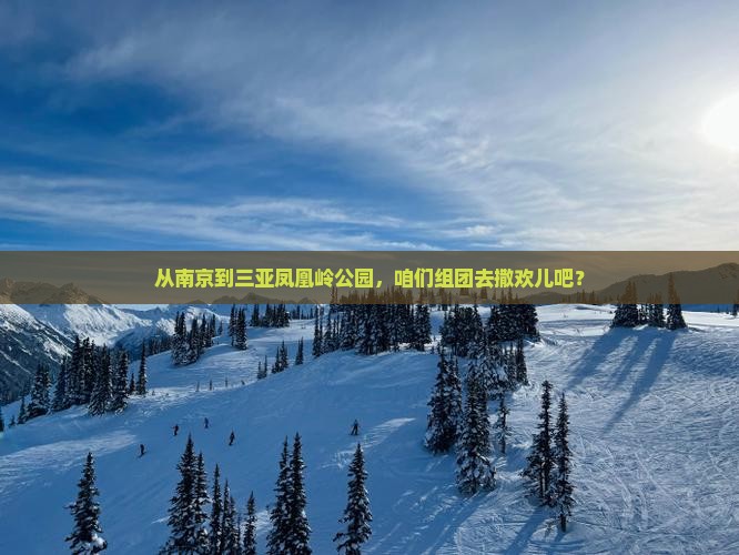南京去三亚凤凰岭公园团体旅游