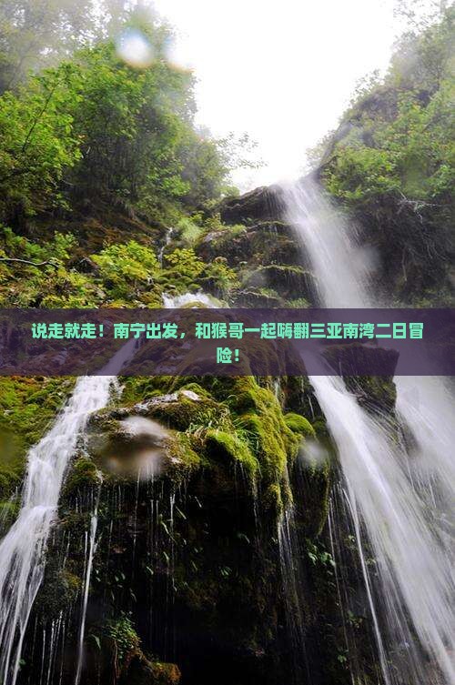 南宁前往三亚南湾猴岛二日游