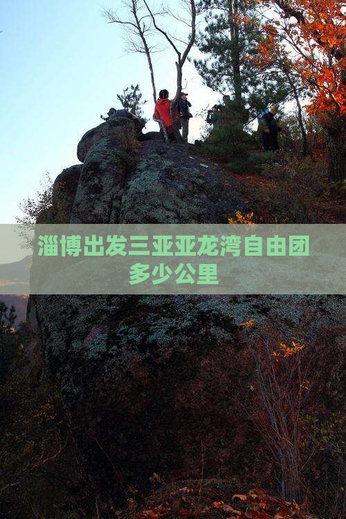 淄博出发三亚亚龙湾自由团