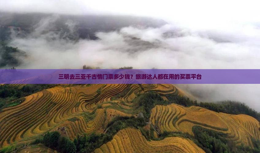 三明出发三亚千古情门票