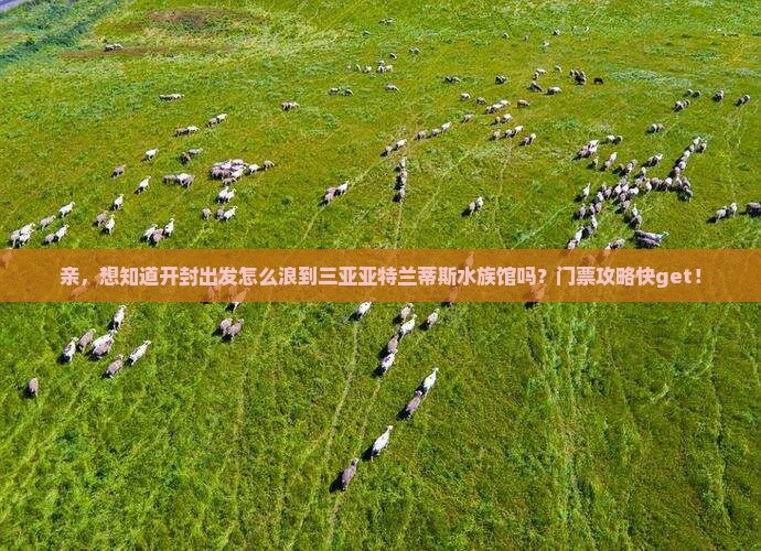 开封去三亚亚特兰蒂斯水族馆门票